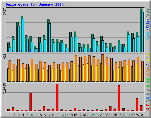 Daily usage for January 2024