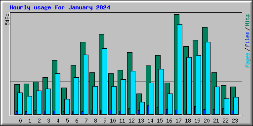 Hourly usage for January 2024